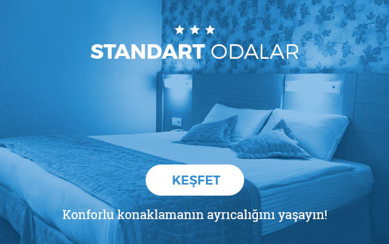 Standart Oda